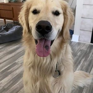 Meet your Posher, Stacy